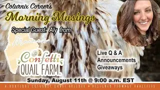 Coturnix Corner's Morning Musings