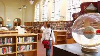 Stanford Feature, 2008