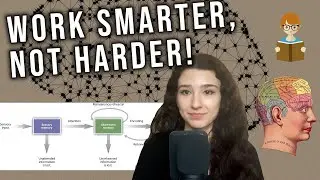 How to study effectively, based on cognitive psychology (THERAPIST TIPS)