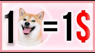 УЗНАЙ КАК ДОСТИЧЬ 1$ = 1SHIB - ЗА 8 МИНУТ