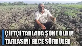 Tarlasına Gelen Çiftçi Hayatının Şokunu Yaşadı! Bu Nasıl Vicdansızlık? / AGRO TV HABER