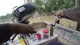 Udang Galah Kuala Selangor