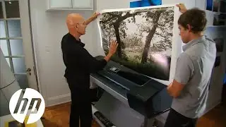 Large-Format Printers of Today and Tomorrow | HP DesignJet | HP