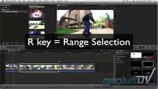 Final Cut Pro X animated title