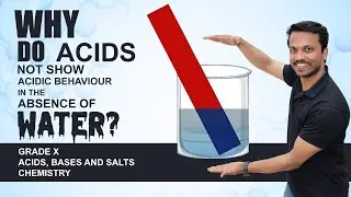 Chemistry | Acids Bases and Salts | Why do acids not show acidic behaviour in the absence of water
