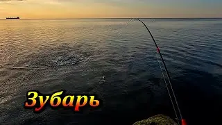 Рыбалка в Ялте. Ловля Саргана. Поисковая Операция. Первый Мой Зубарь в Этом Сезоне в Крыму.