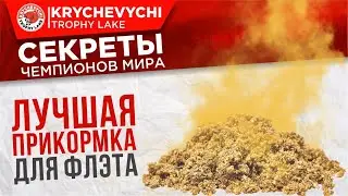 ЛУЧШАЯ прикормка для флэта. Рыбалка на карпа.