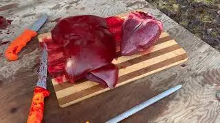 The best parts of a deer