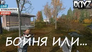 Бойня или алкострим... [DayZ]