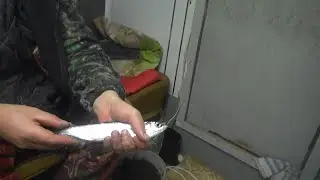 Пробная рыбалка  2 января