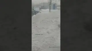 Зае.ал этот снег в Питере ...
