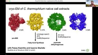 Protein sequence identification, assignment and validation with FindMySequence -Grzegorz Chonjnowski