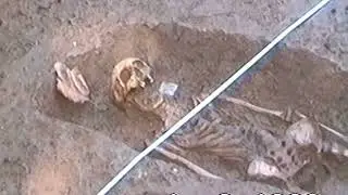 BGS archaeological survey 1996