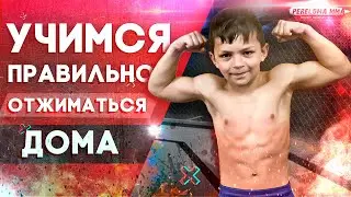 Do Proper Push-ups with Pereloma MMA | How to do push-ups at home?