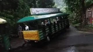 Jungle Safari Train