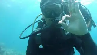 Saros Körfezi İbrice Limanı Dalış