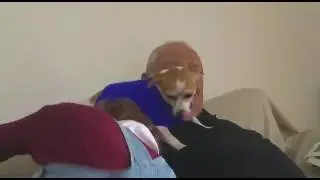 שנטי בת חמש ושלושה חודשים. סיוון מעצבנת אותה