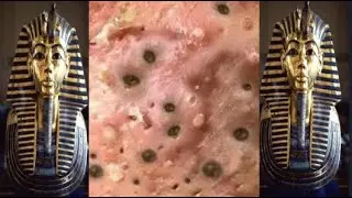 ضوء النهار في ضوء الليل #037