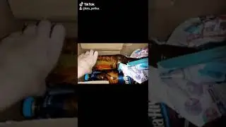 Распаковка и заселение колонии мраморных тараканов для африканских ежей.