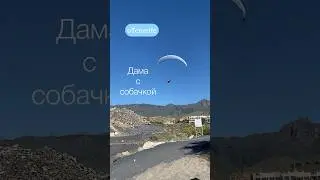Парапланеристы - смелые ребята !!! и СОБАЧКИ