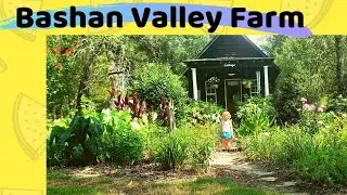 Bashan Valley Farm - The Brandy Bunch