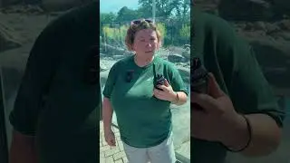 Cooking with Keeper Kristin | Brown Bear Enrichment