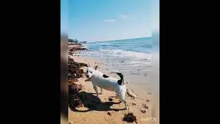 море🌊🌊🌊