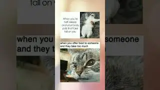 Funny relatable memes 😂 