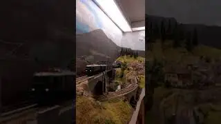plastico Valle Caudina 1