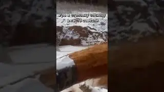 #просроченный колбаски #мем ￼
