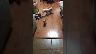 Gabe after MK’s toy