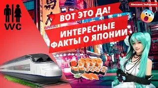 Interesting Facts About Japan: Transport, Cosplay, Food, and Japanese Toilets | First Trip to Japan