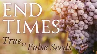 END TIMES: True and False Seeds