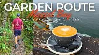 Things to do in the Garden Route 🇿🇦 Mossel Bay & Big Tree