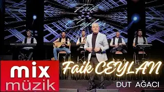 FAİK CEYLAN  Dut Ağacı Dut Verir   2024  4K