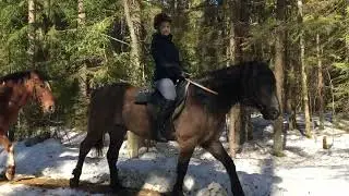 Лесной ЭКО патруль