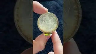 I Just Bought a Full Set of Morgan Silver Dollars