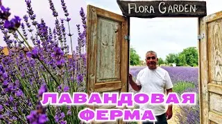 ЛАВАНДОВАЯ ФЕРМА в САМАРКАНДЕ!#узбекистан #самарканд #ранокамолова