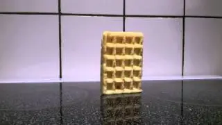 Waffle standing up