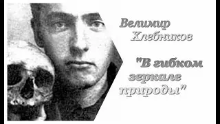 Велимир Хлебников. В гибком зеркале природы