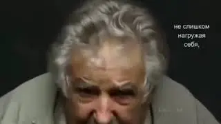 Ложные ценности