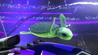 turtle
