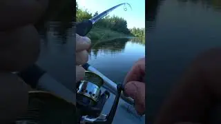 Полное видео уже на канале ! #рыбалка #рыбалканаспиннинг