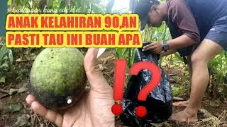 nemu buah langka‼️