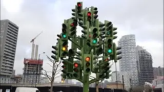 TRAFFIC LIGHTS TREE | #google #subscribe #youtube #googleearth #googlemap