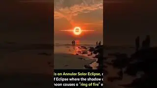 rare Solar eclipse | Annular solar eclipse clip #new #share #shorts #popular