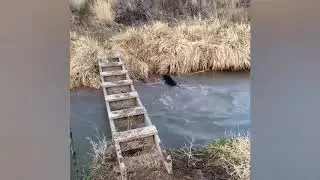 Kulmaslikka harakat qilib ko'ring!/TRY NOT TO LAUGH