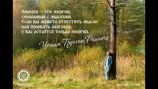 Подготовка к ретриту. Второй эфир.