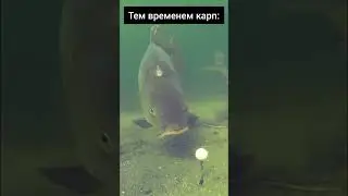 Так вот почему он не клюёт 