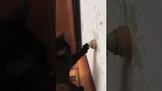 #смешныевидео #смешныемоменты